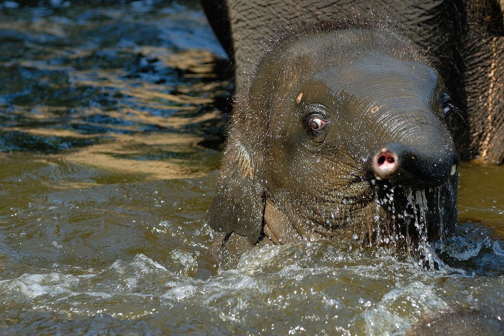 zoo DSC 3798