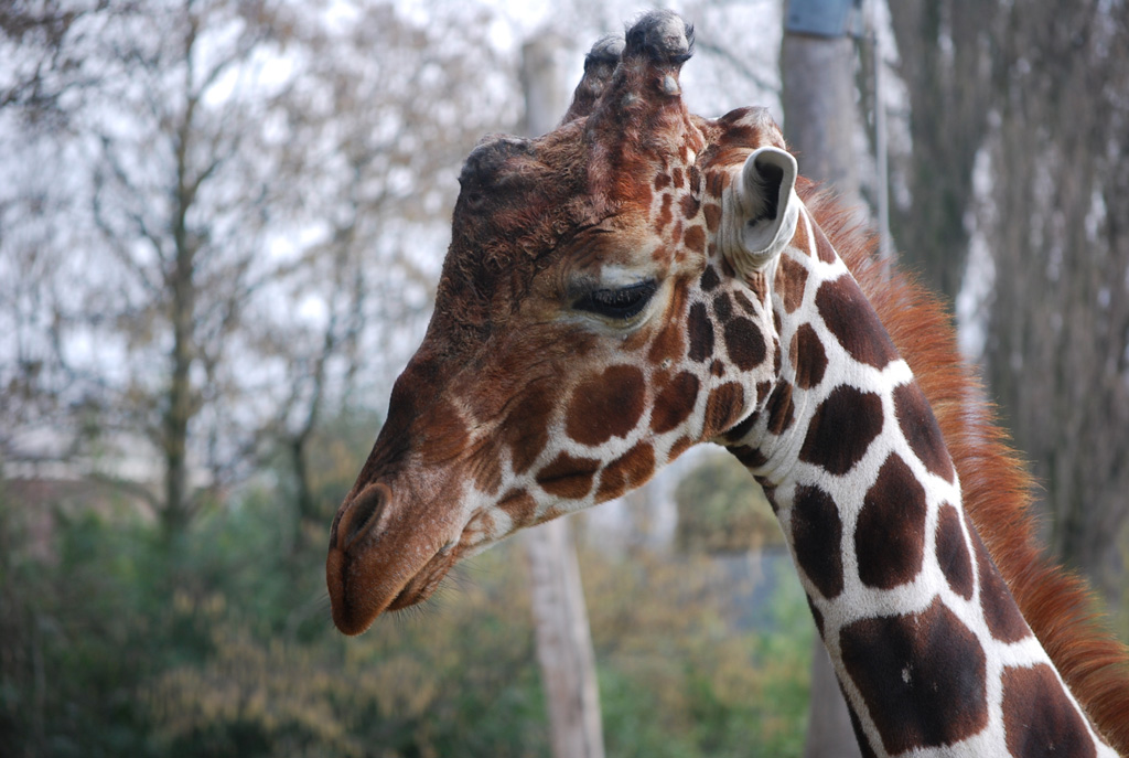 Zoo Duisburg 01