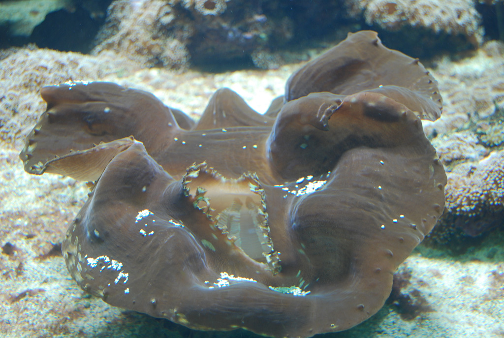 Zoo Duisburg 02