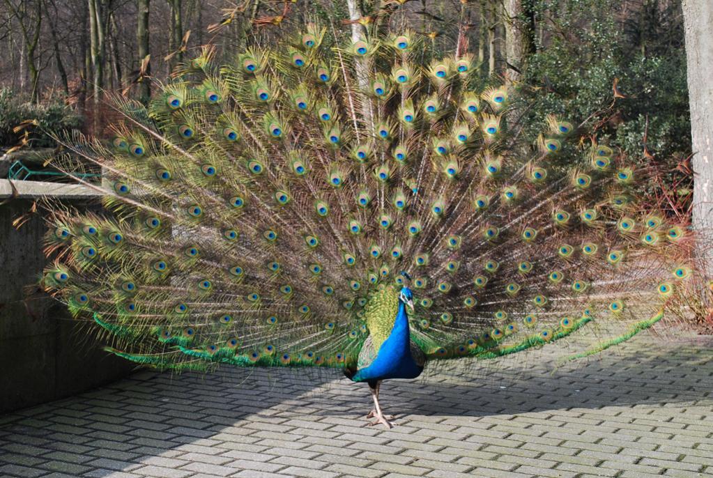 Zoo Duisburg 07
