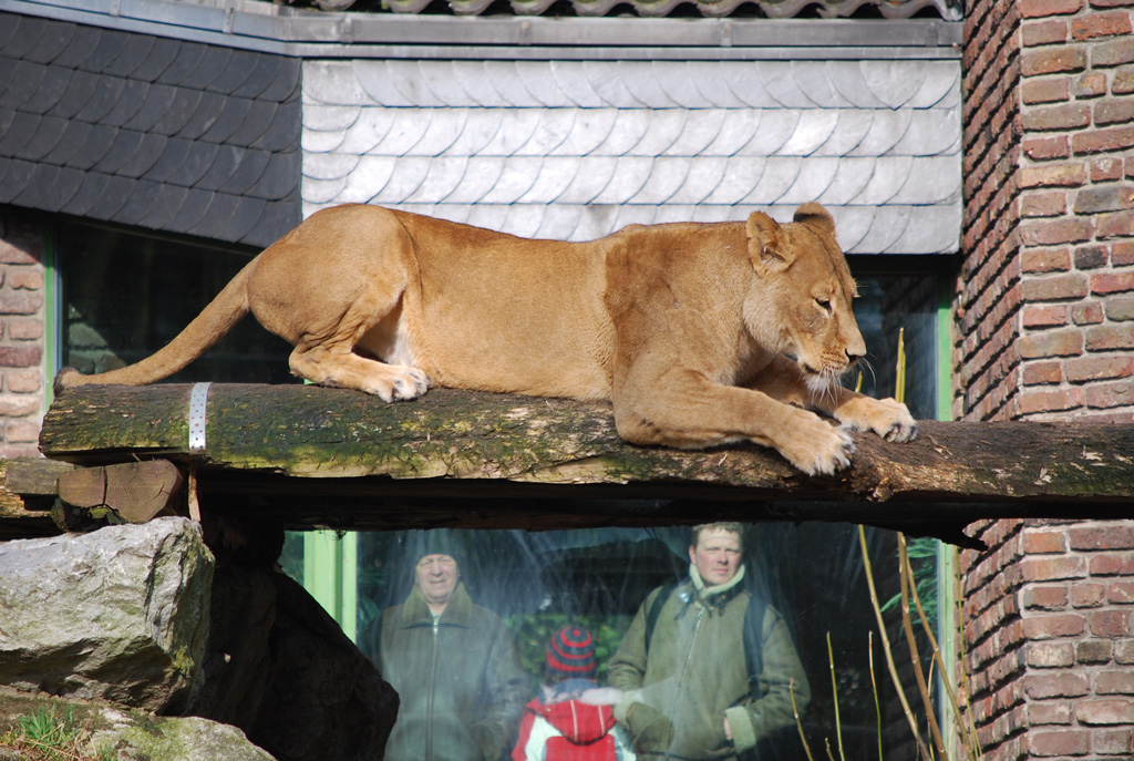 Zoo Duisburg 08