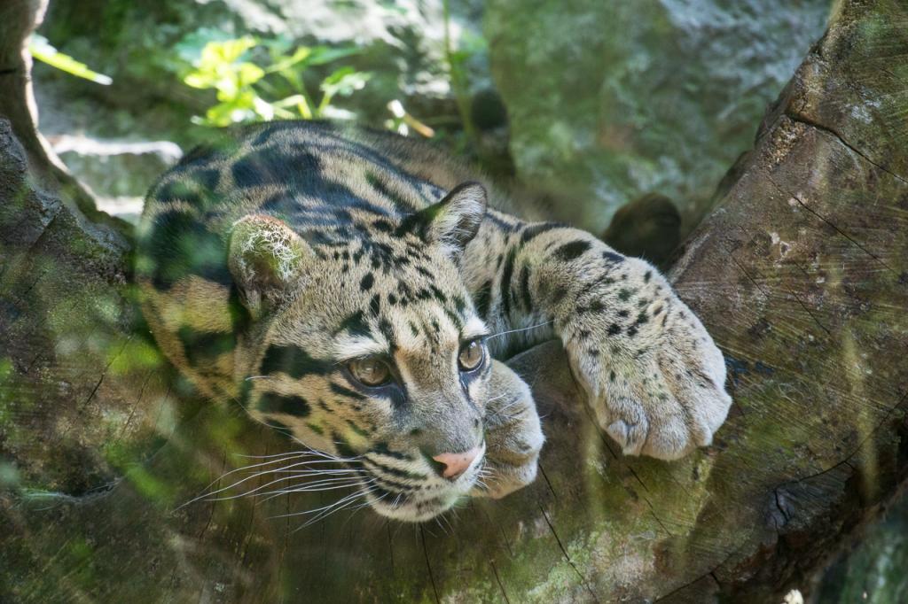 Zoo Duisburg