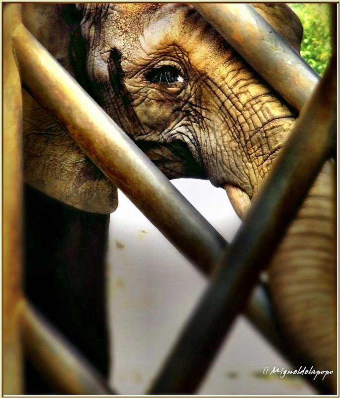 Zoo Duisburg