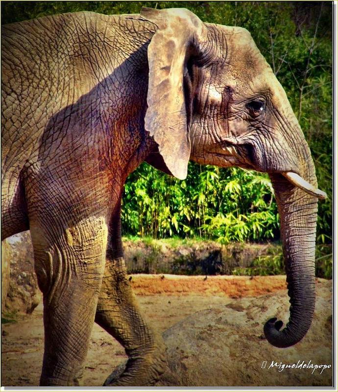Zoo Duisburg