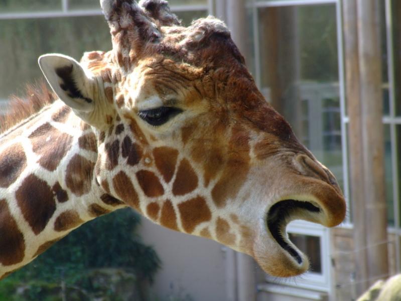 Zoo Duisburg
