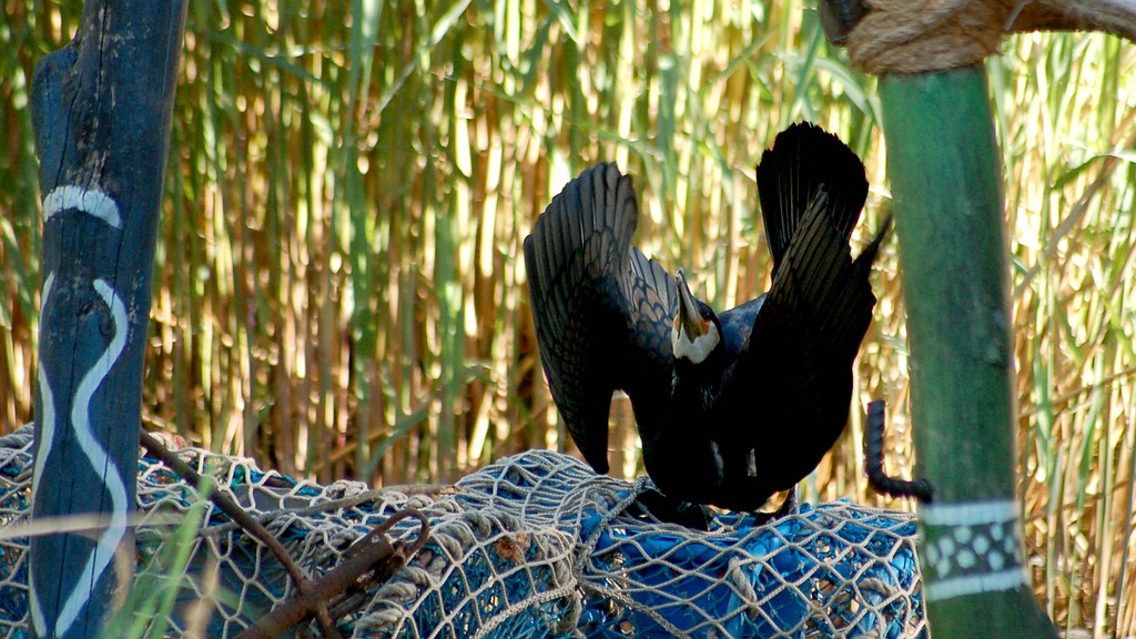 zoo hannover DSC 3969