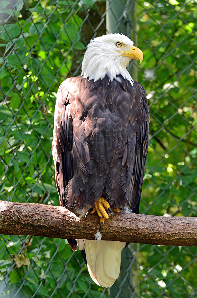 Zoo Hannover