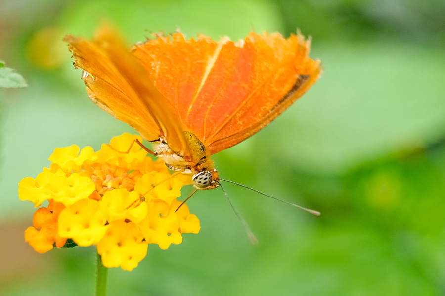 Zoo Krefeld