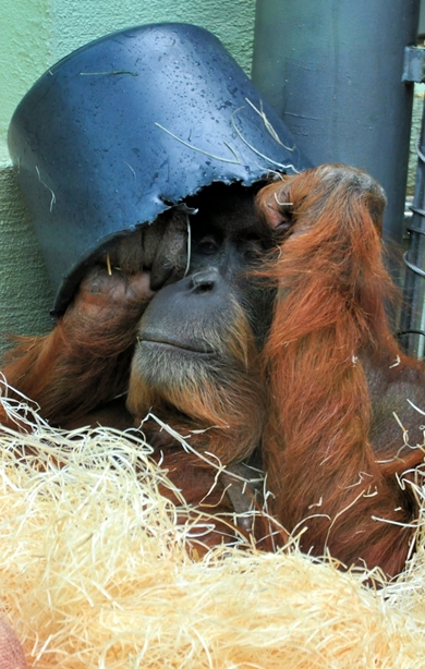 Zoo Münchn