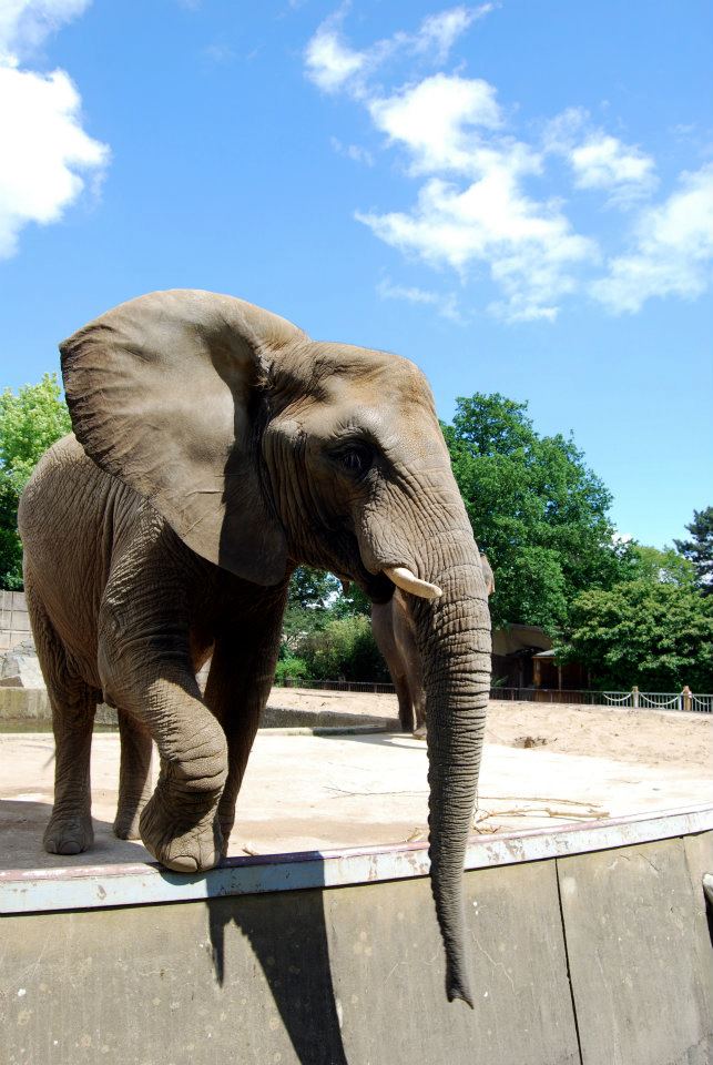 Zoo Magdeburg