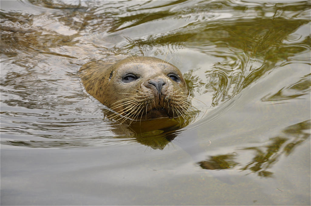 zoo Rheine