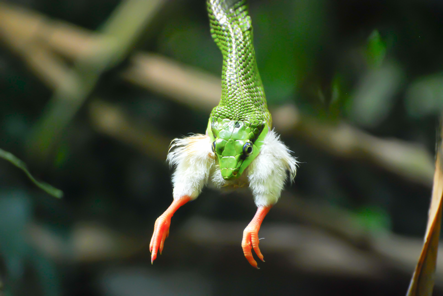 Zoo Zürich