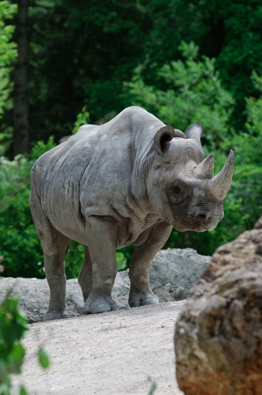 Zoo Zürich