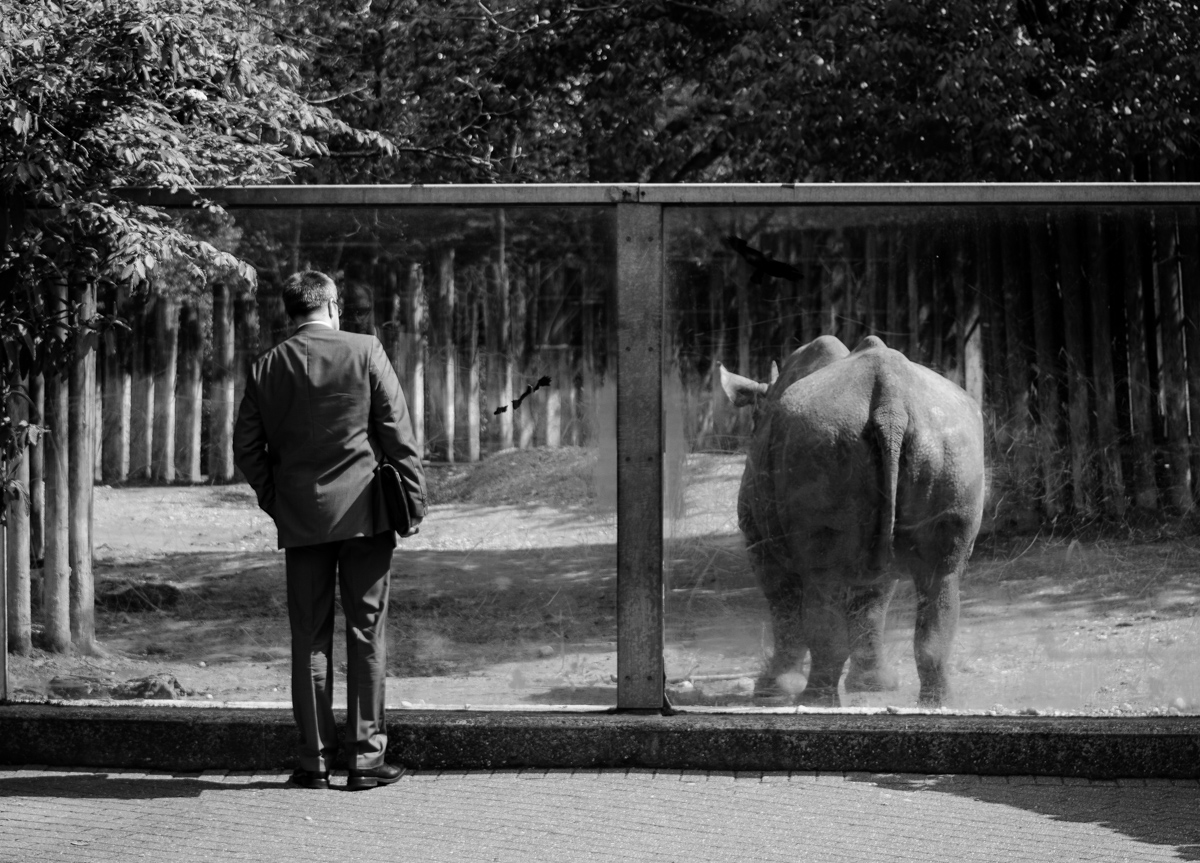 Zoo