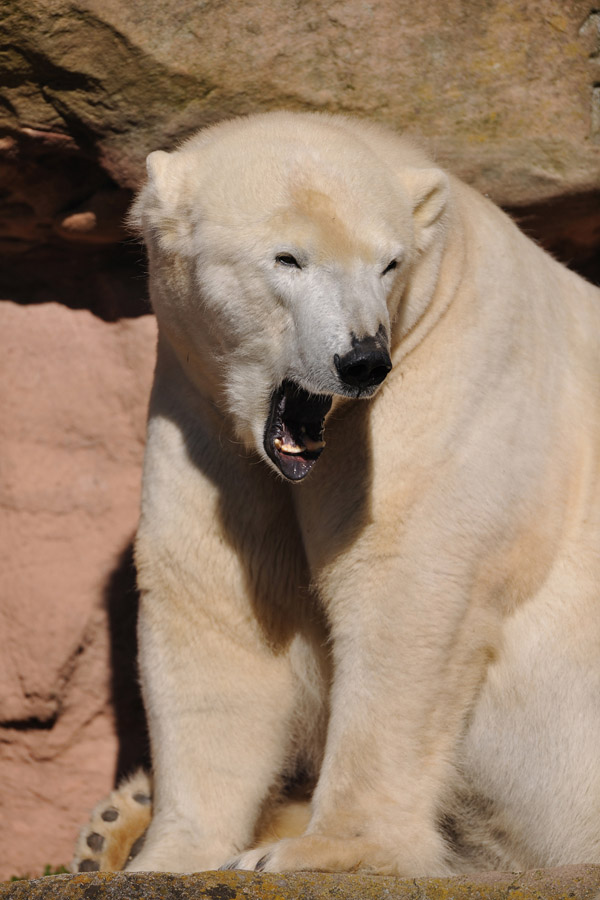 zoo22