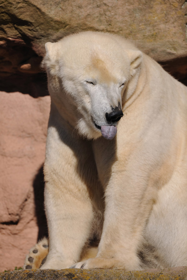 zoo23