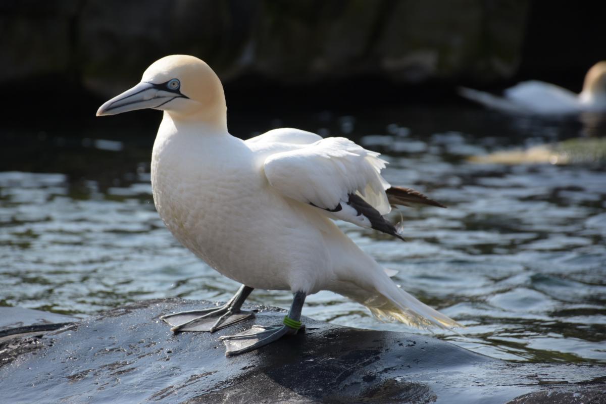 Zoobesuch