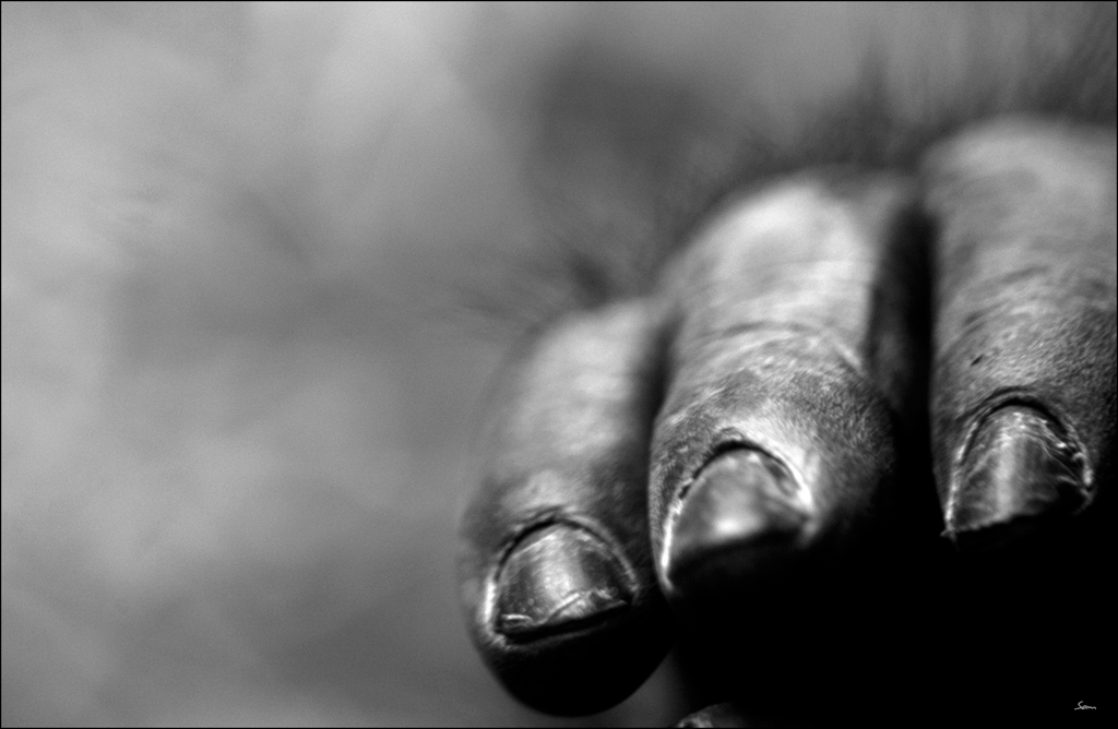 ZooDSC 0630