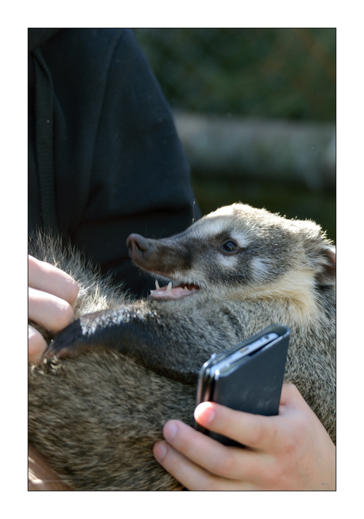 ZooPZ1 5750