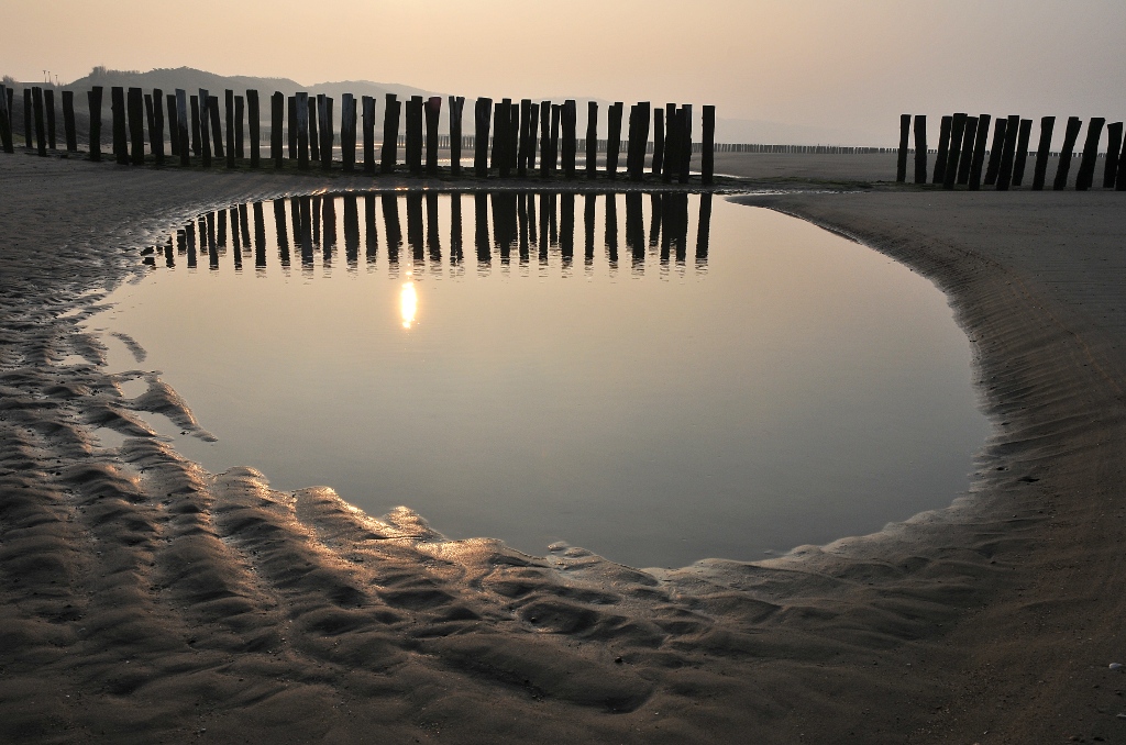 Zoutelande, strand. Oase ;)
