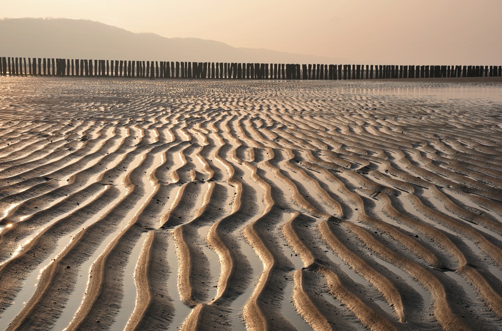 Zoutelande strand