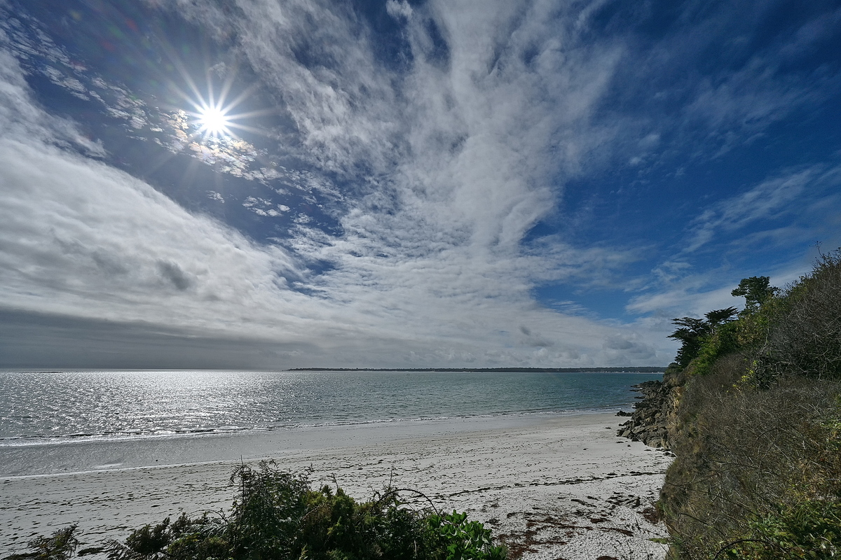 ZSD_0467_1_nff.JPG