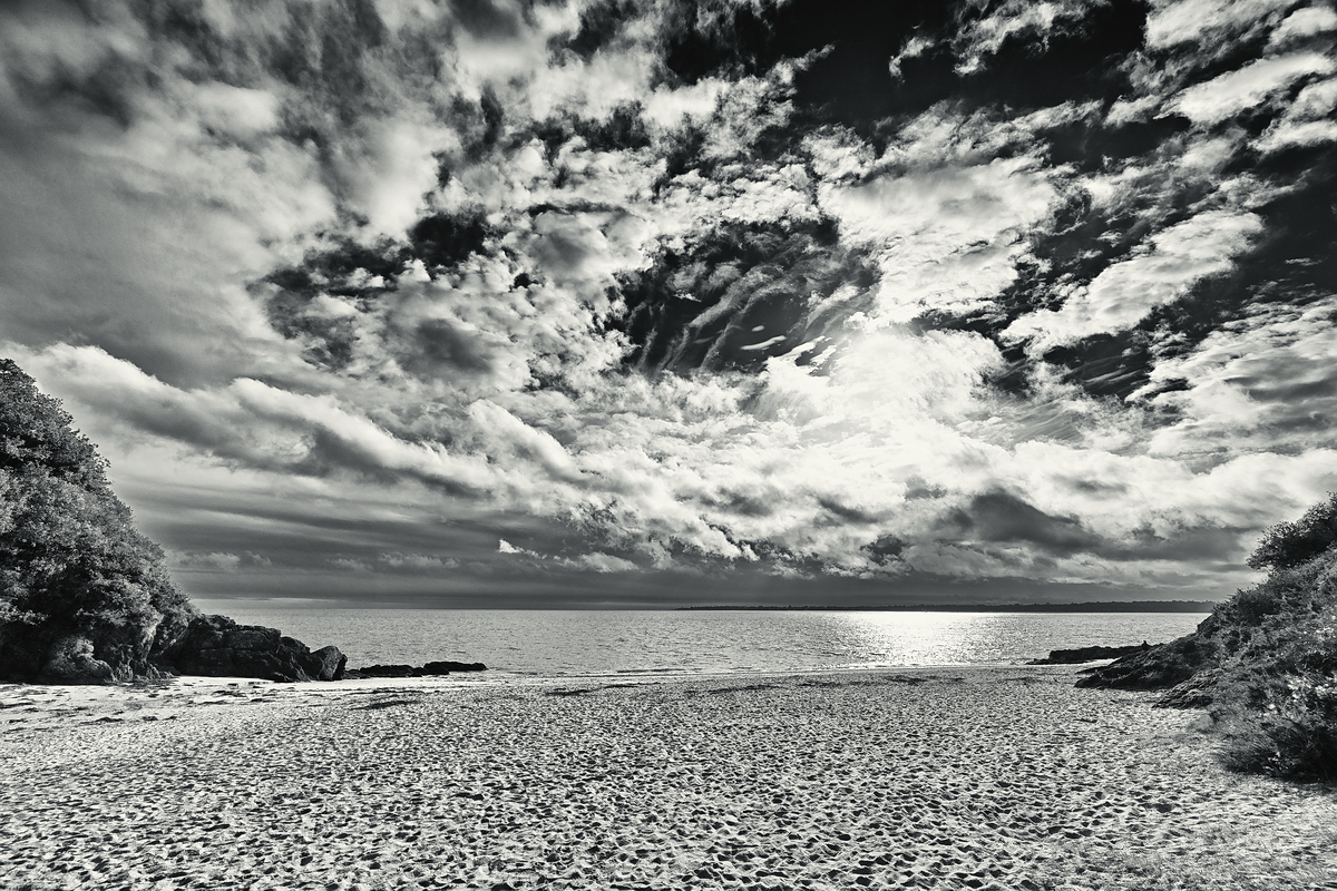 ZSD_0500_1_sw_nff.JPG
