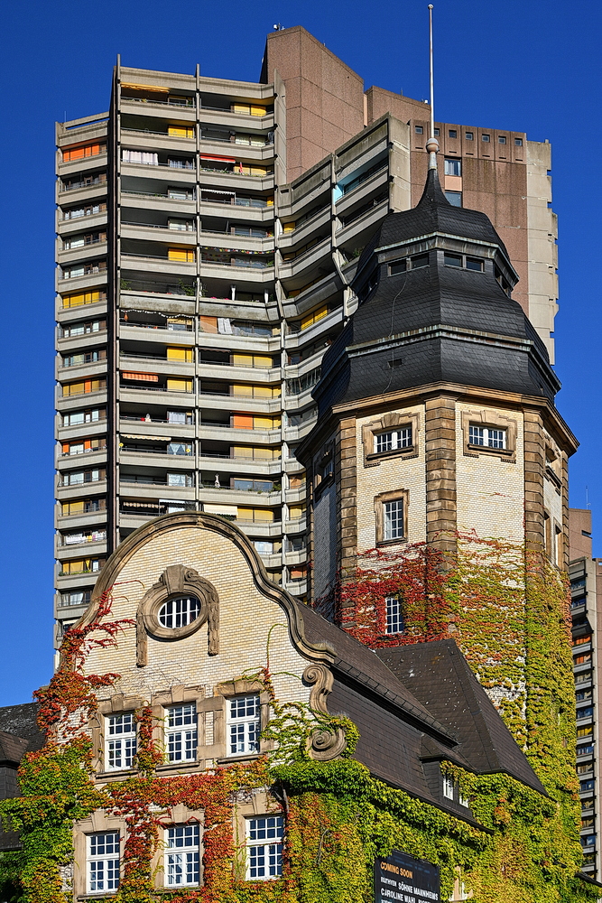 ZSF_8635_nff.JPG
