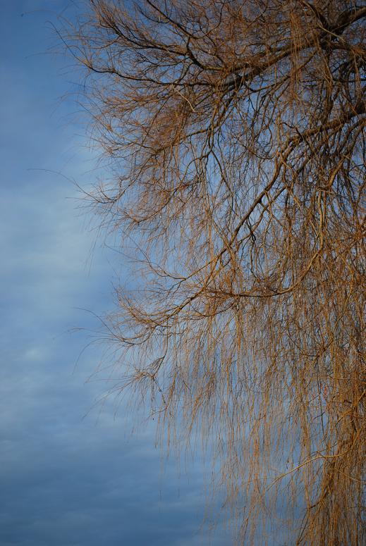 Zug, Dezember 08