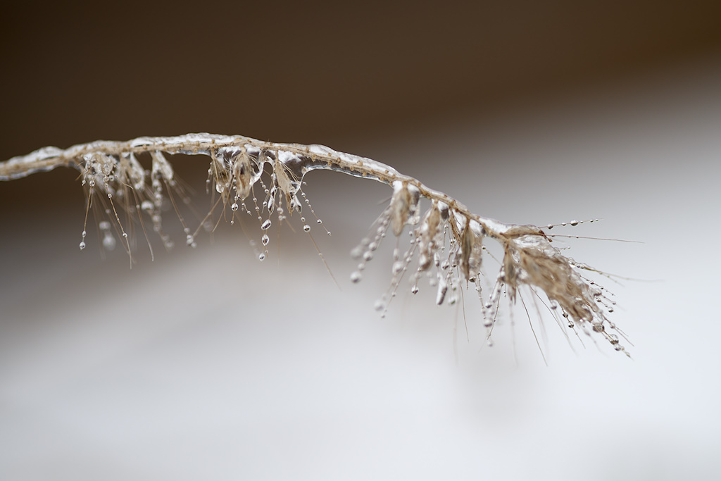 Zum Thread: http://www.nikon-fotografie.de/vbulletin/allgemeine-bildbearbeitung/216583-corel-aftershot-pro.html#post1980314