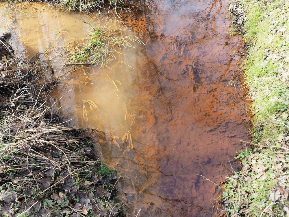 Zusammenfluss.jpg