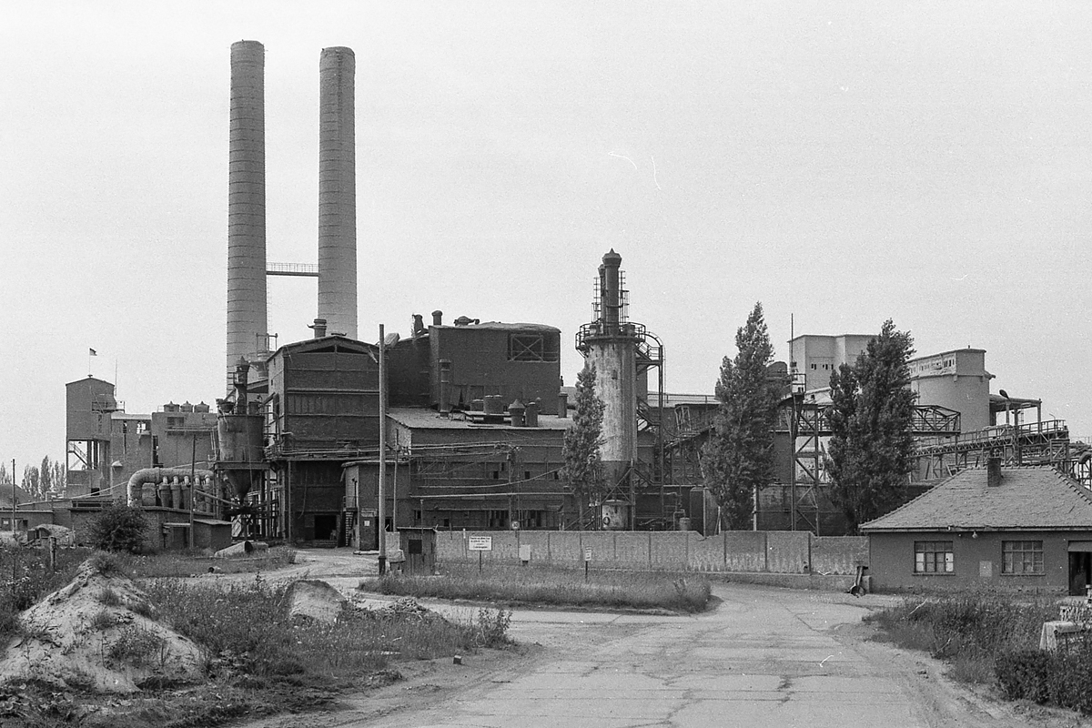 ZW-Sozi-c.jpg