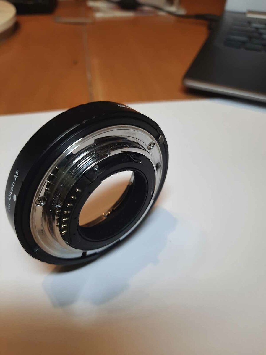 zw3.jpg