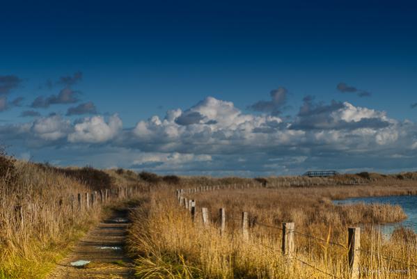 Zwischen Binnensee und Ostsee