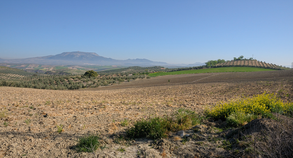 zwischen Cordoba und Granada