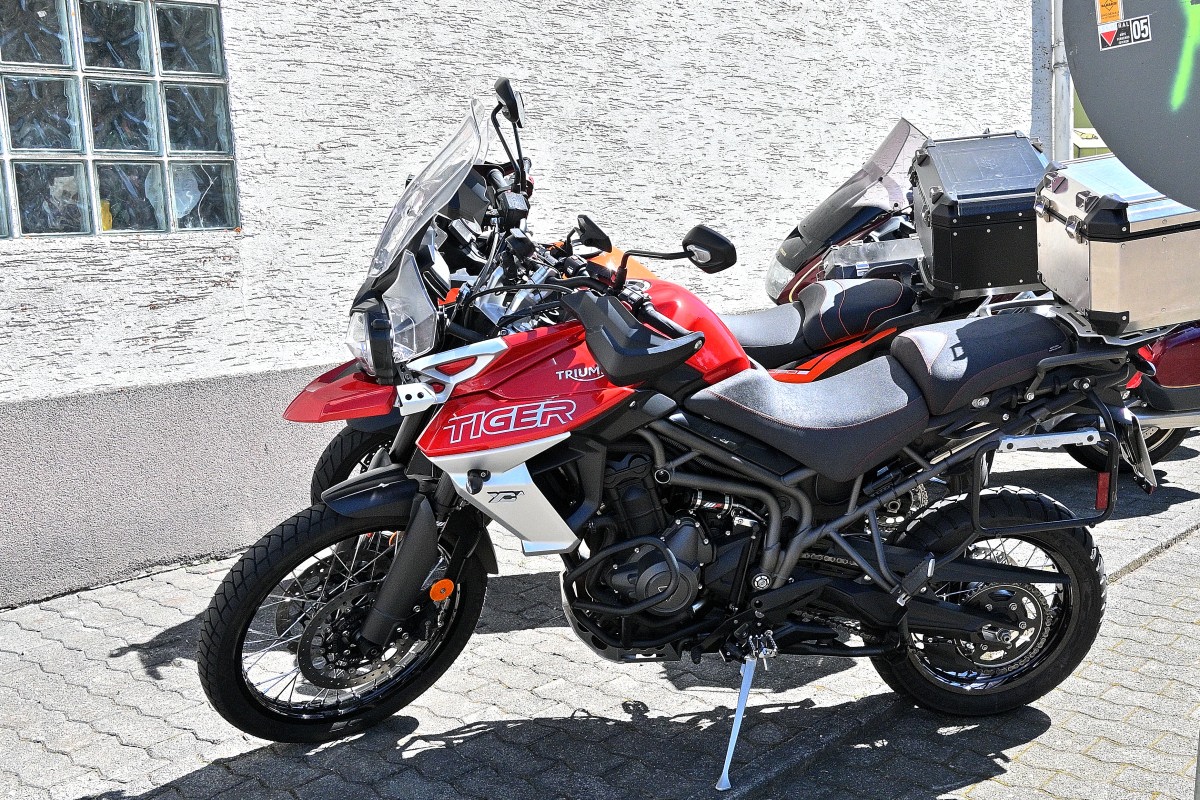 Zwr24-07.JPG