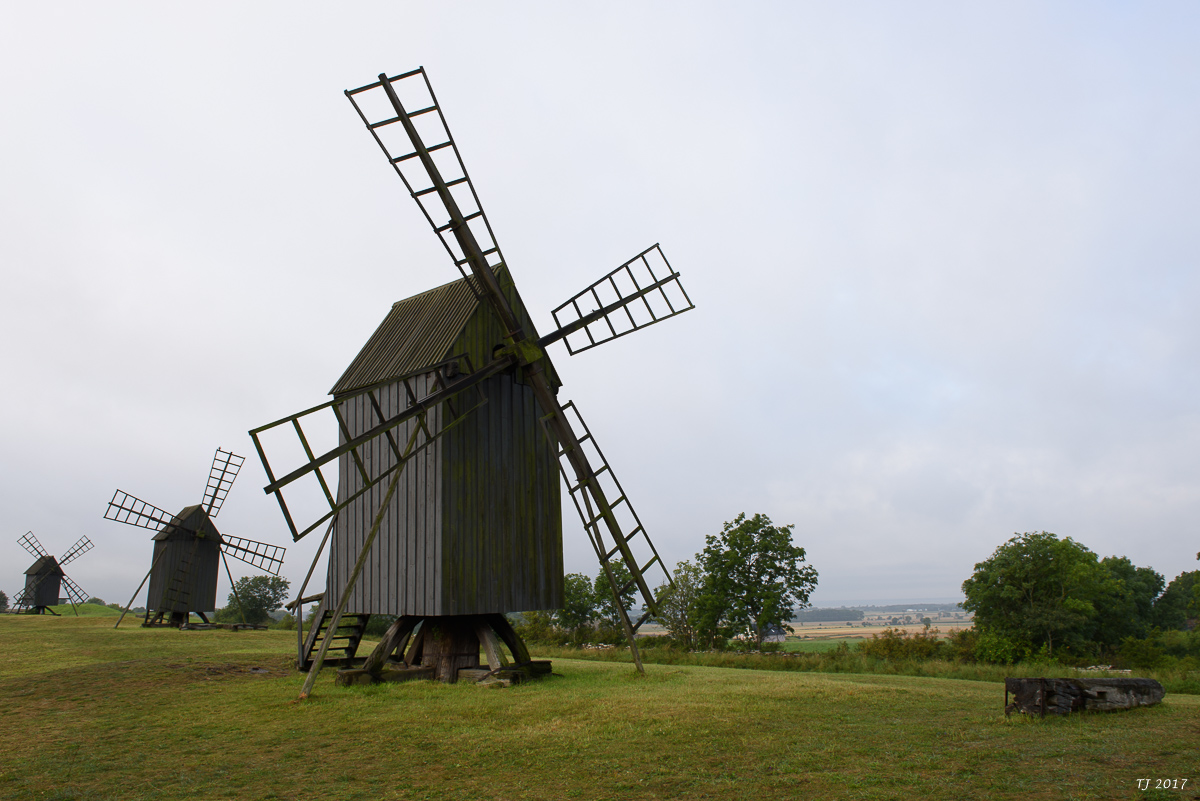 DSC_7754.jpg