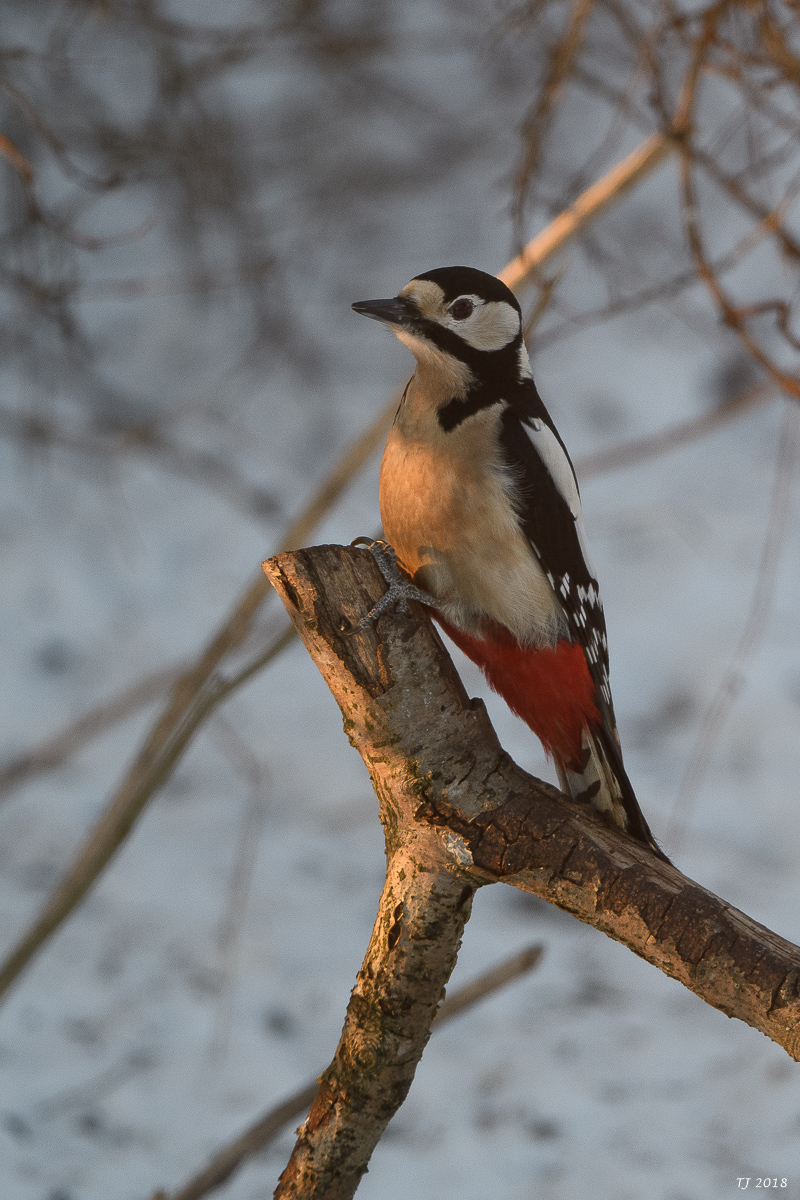 DSC_3590.jpg