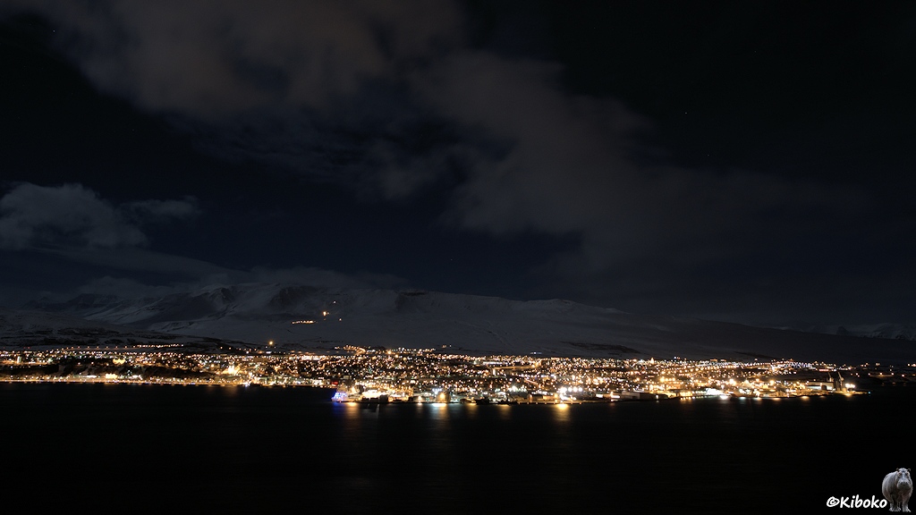 Viele Lichter einer Stadt leuchten an einer Wasserfläche. Im Hintergrund sind schneebedeckte Berge zu erahnen.