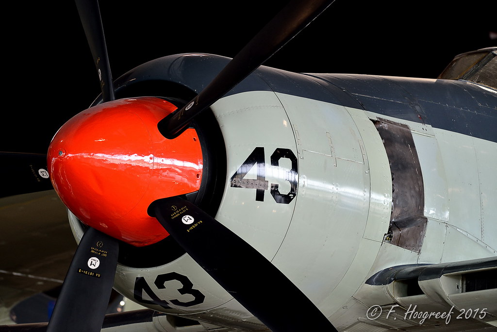 21350537500_c76b52f8d5_b.jpg