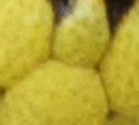 9363930lfh.jpg