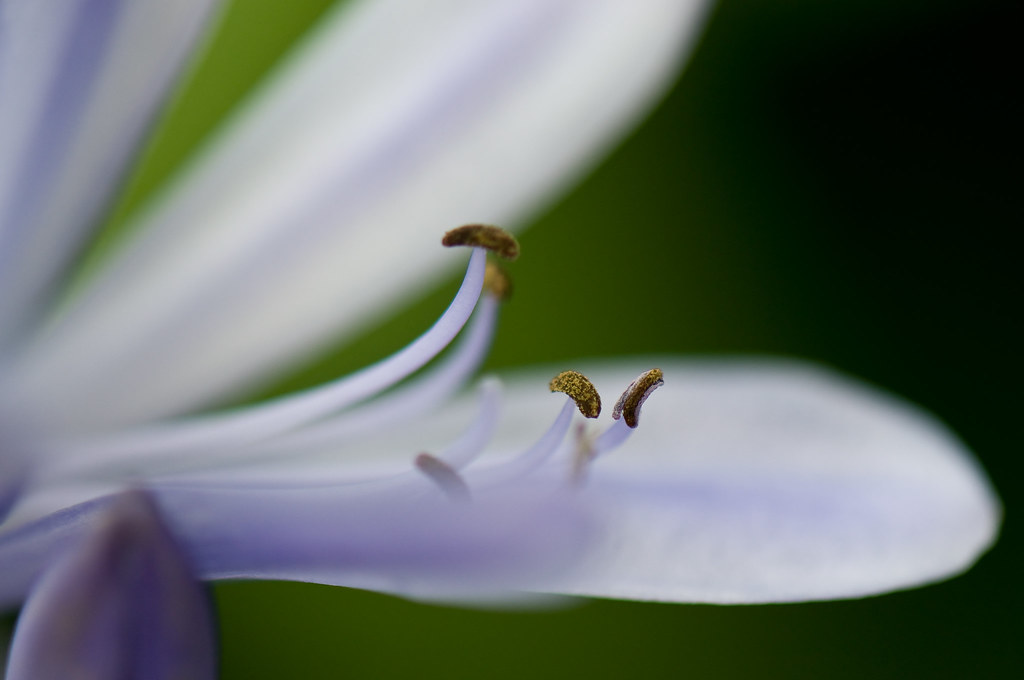 2747276639_f1583b5693_b.jpg