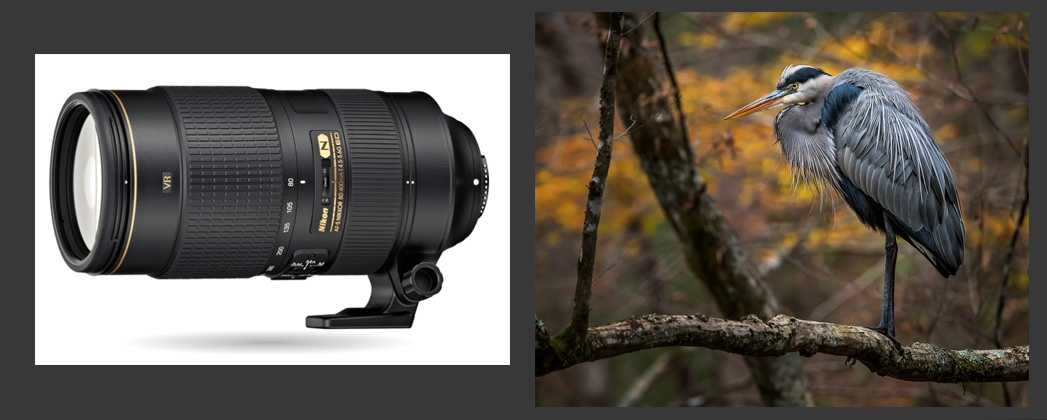 backcountrygallery.com