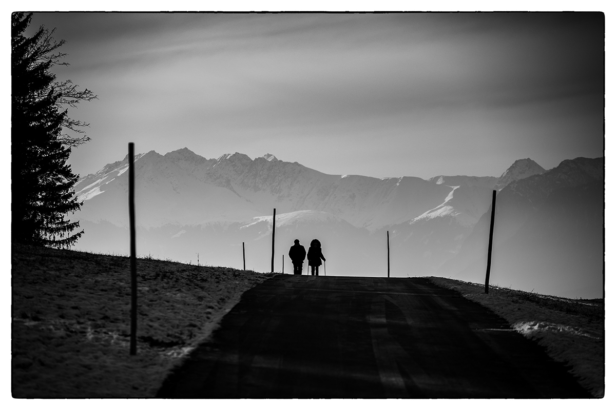 20210105_NZ6_0318swNF.jpg