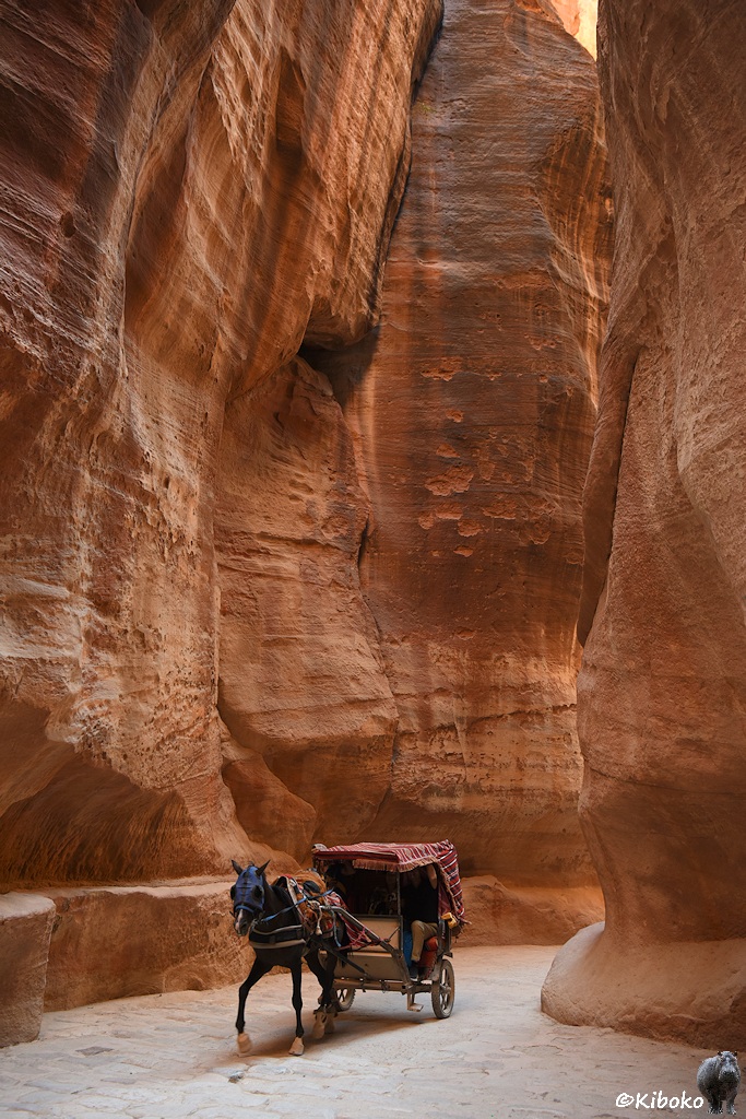 Pferdekutsche in der Schlucht