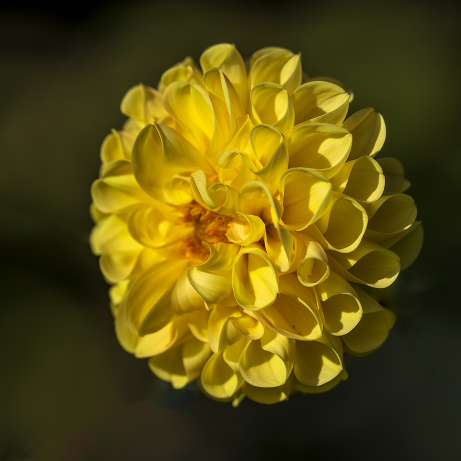 20231013_NZ9_0509qNF.jpg