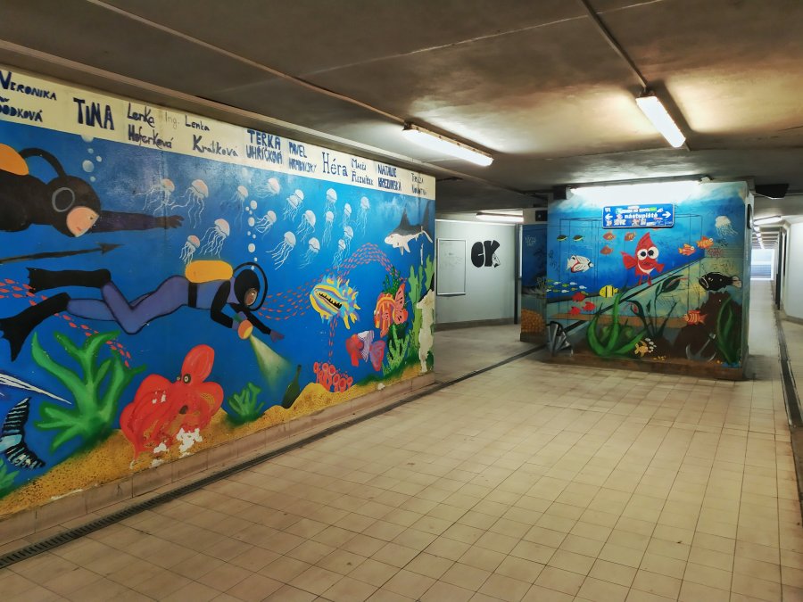 240507_100322-01.jpg
