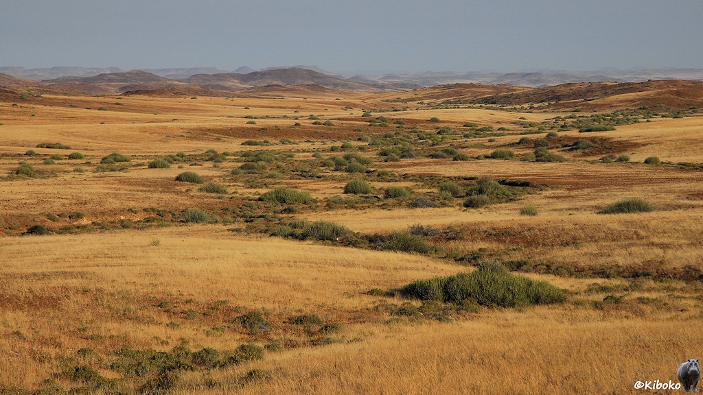Ein breites Tal mit trockenem Gras und einer mäandrierenden Vertiefung mit grünen Büschen.