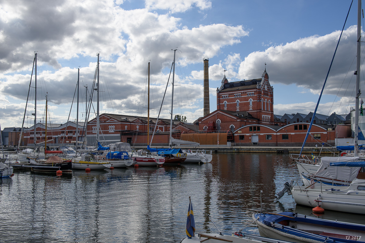 DSC_7633.jpg