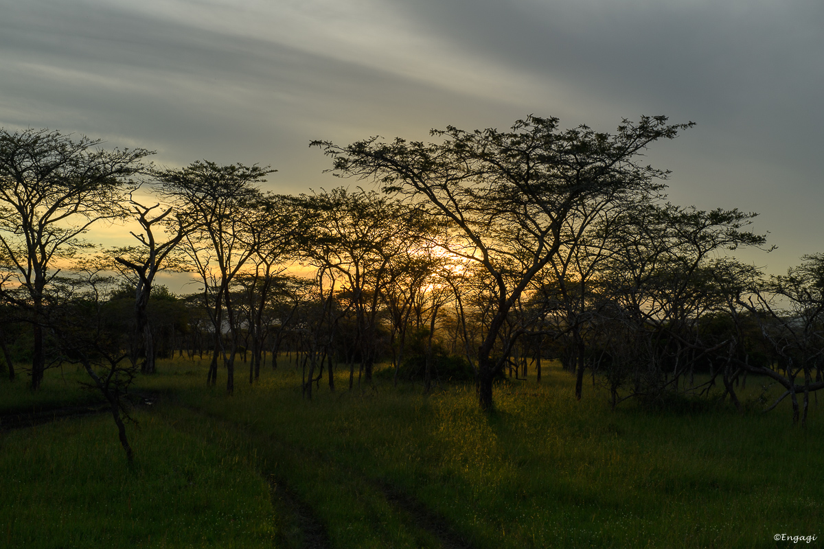 Uganda%202506.jpg